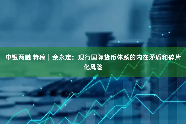 中银两融 特稿｜余永定：现行国际货币体系的内在矛盾和碎片化风险